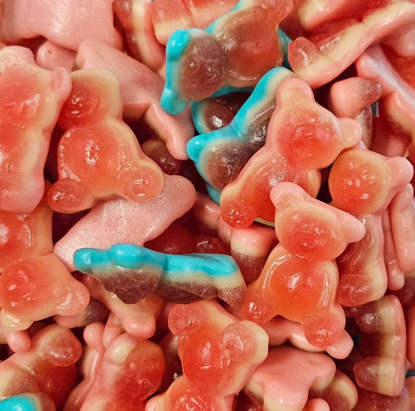 Jelly Filled Big Bears