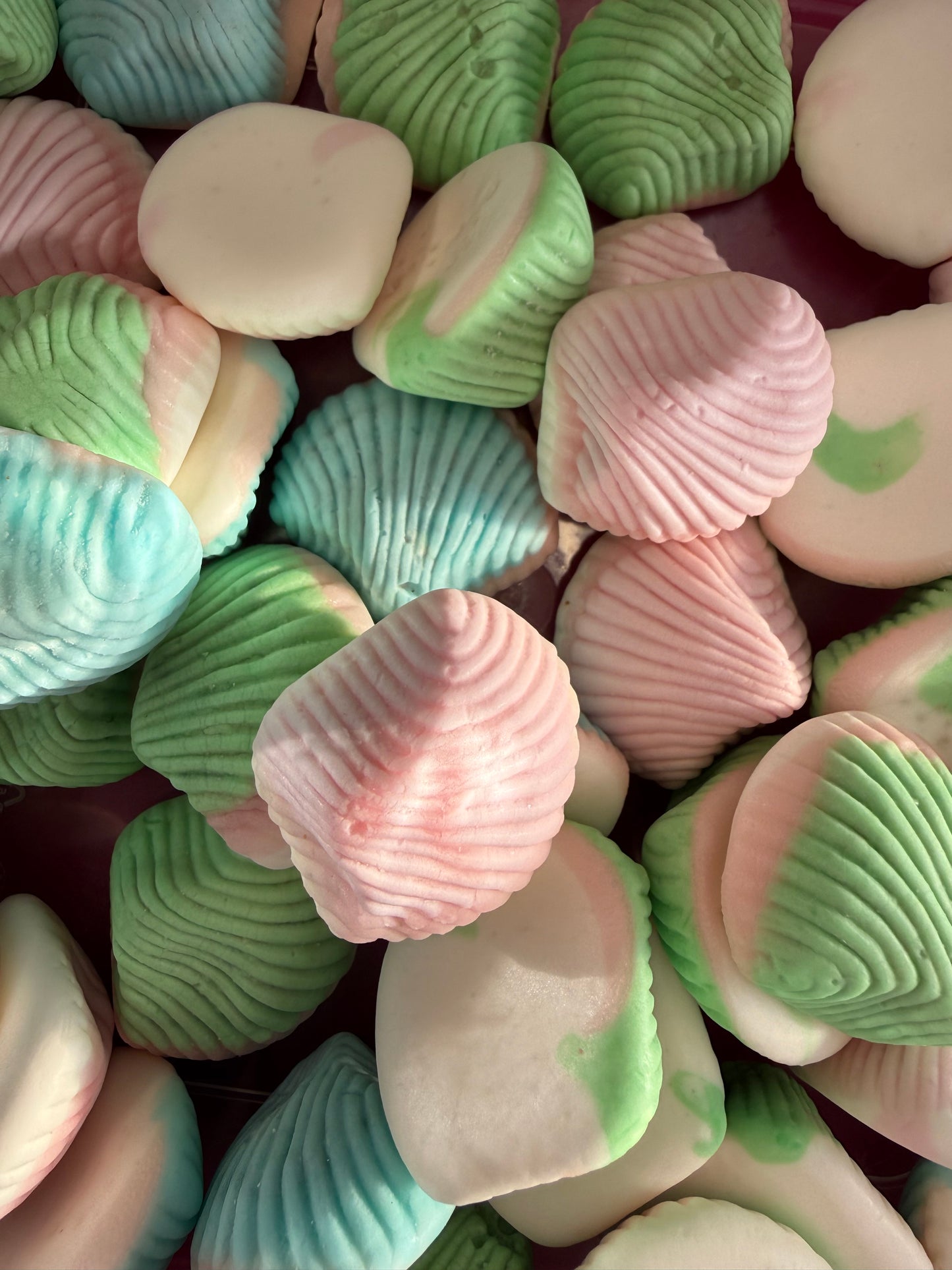 Jelly Filled Foam Sea Shells