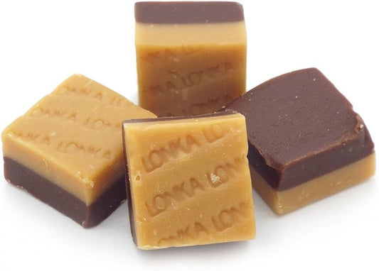 Chocolate and Vanilla Fudge