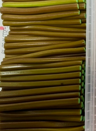 Cola Pencils