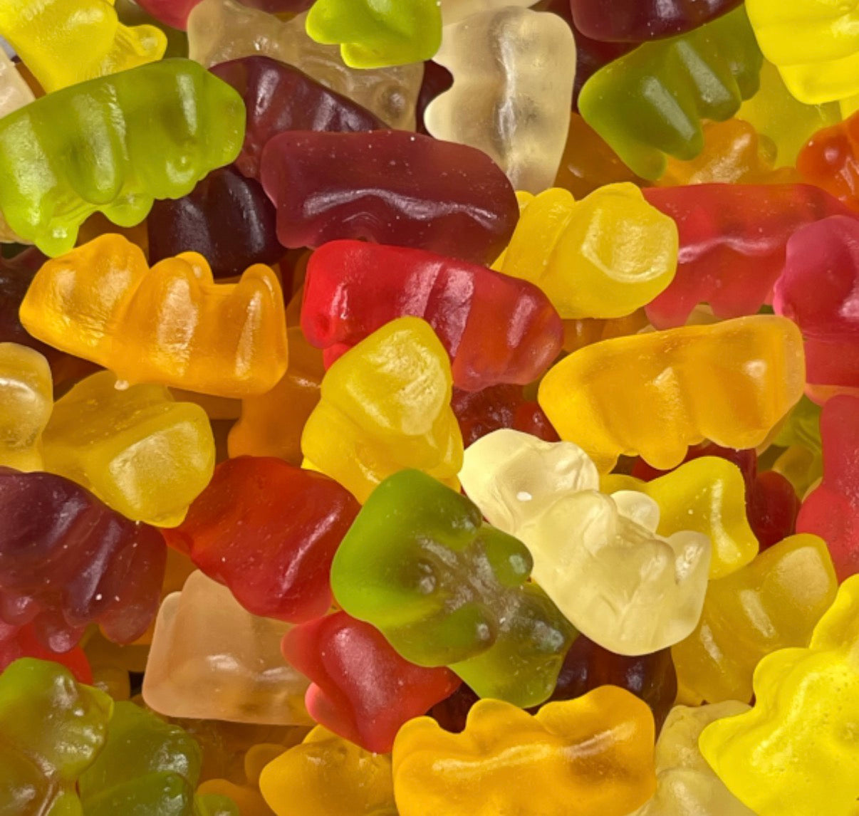 Sugar Free Teddy Bears