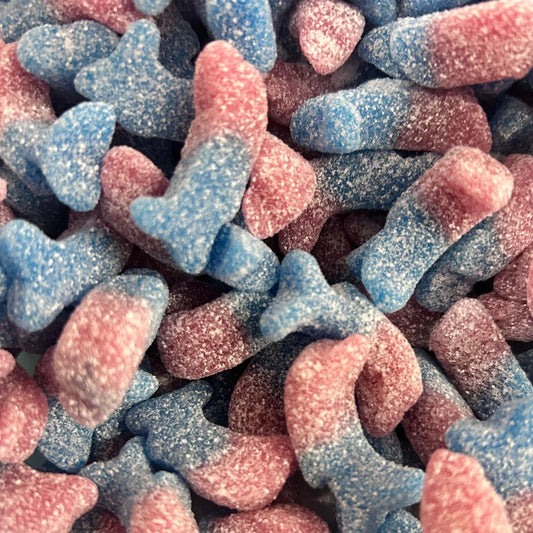 Bubblegum Dolphins