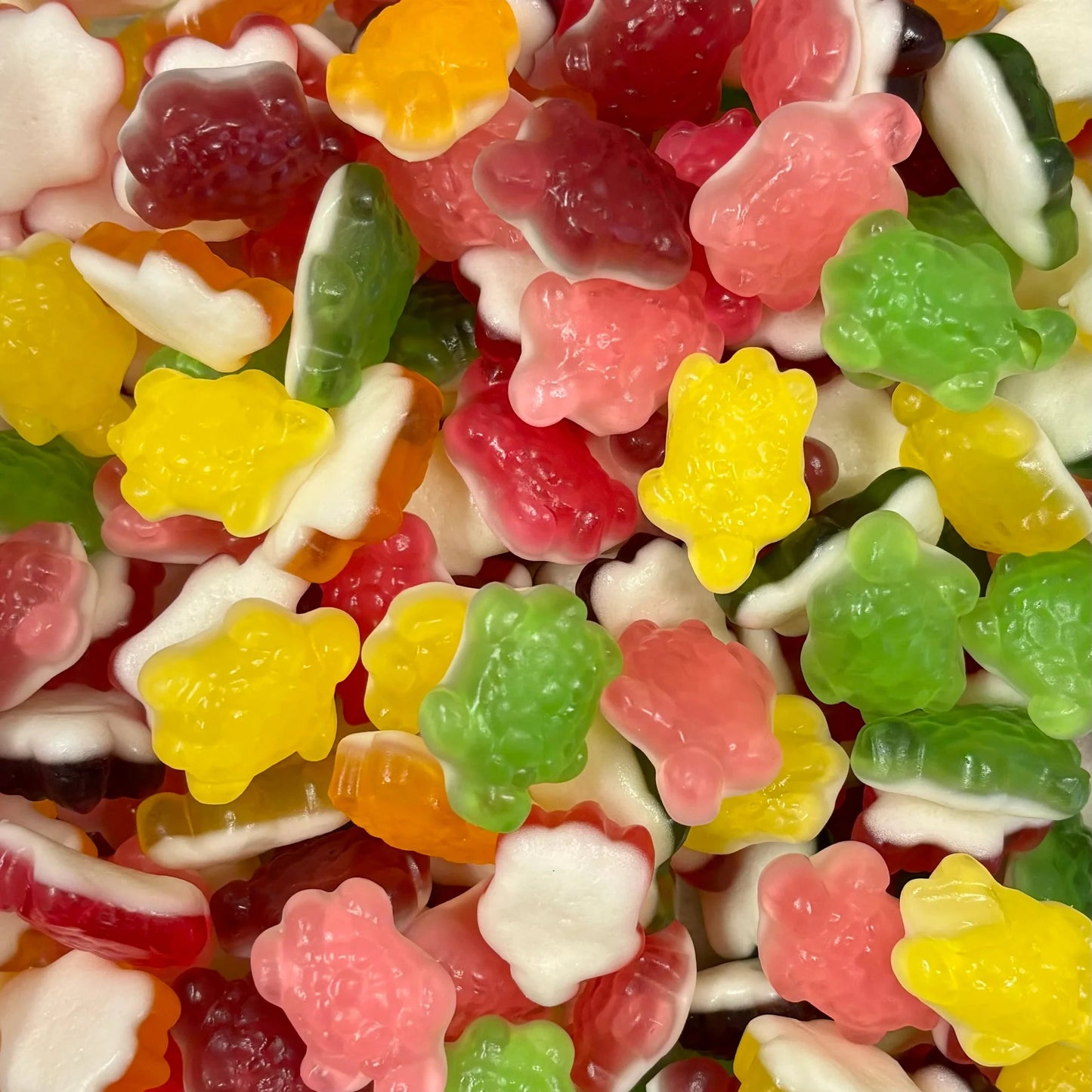 Soft Gummy Fruity Multicoloured Jelly Turtles