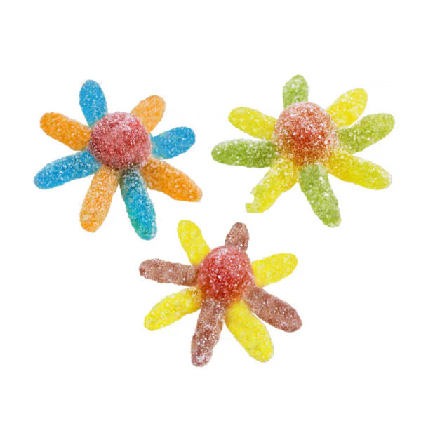 Gummy Sour Octopus