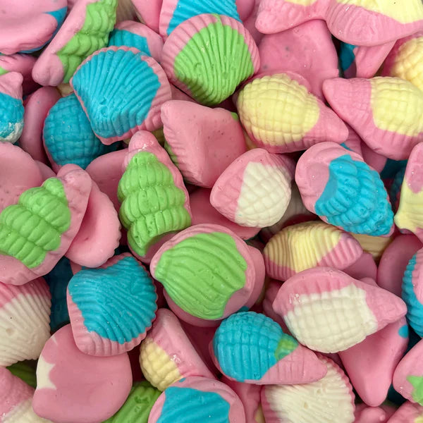Foam Colourful Sea Shells
